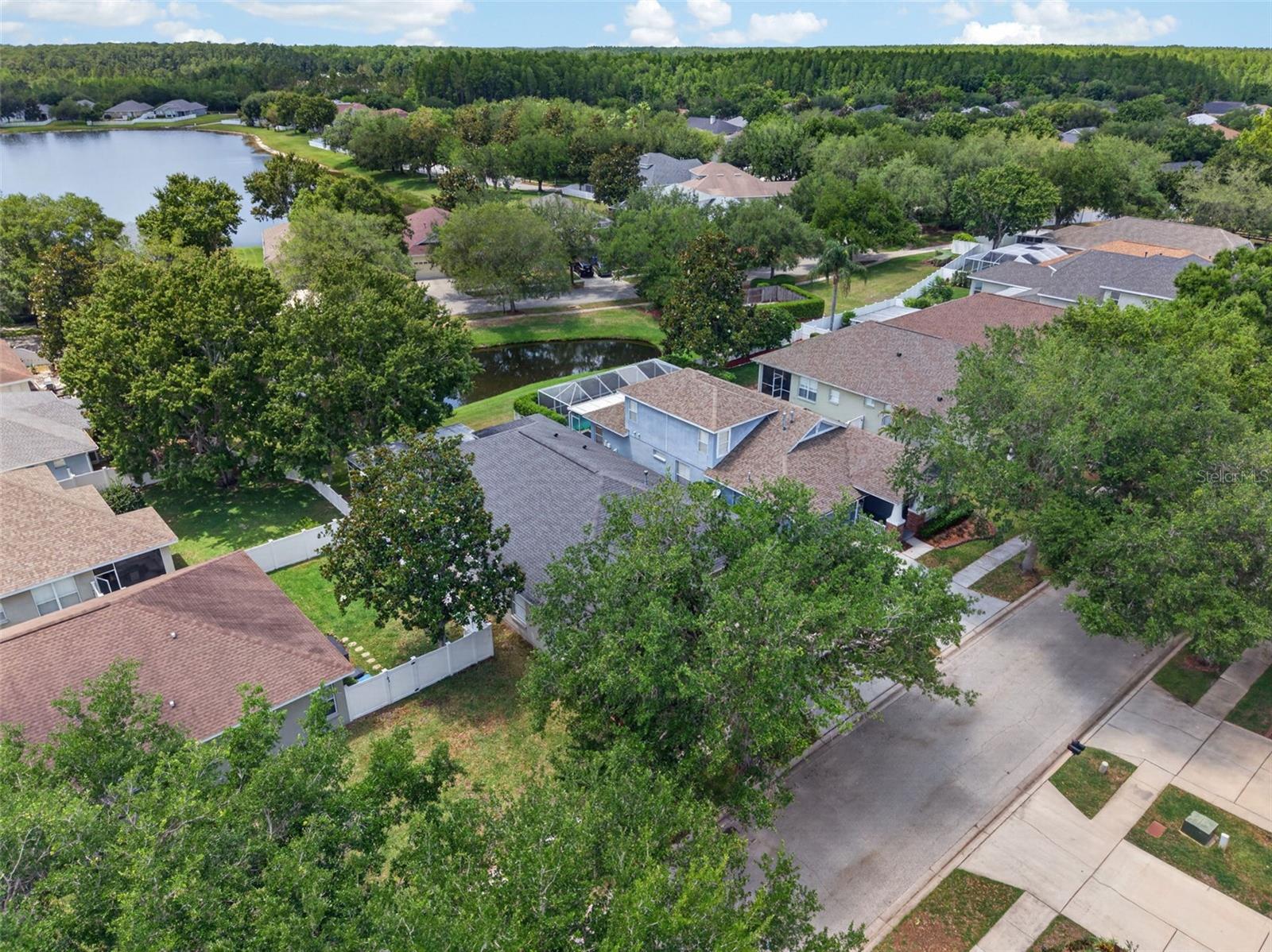 5017 TORREY HILLS LN, LUTZ, FL, 33558