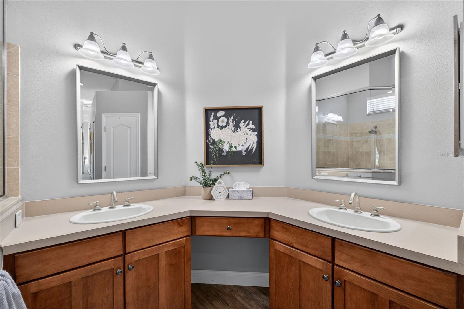 5017 TORREY HILLS LN, LUTZ, FL, 33558