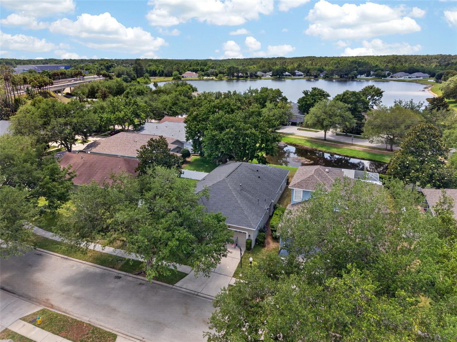5017 TORREY HILLS LN, LUTZ, FL, 33558