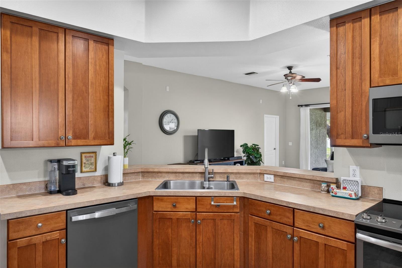 5017 TORREY HILLS LN, LUTZ, FL, 33558