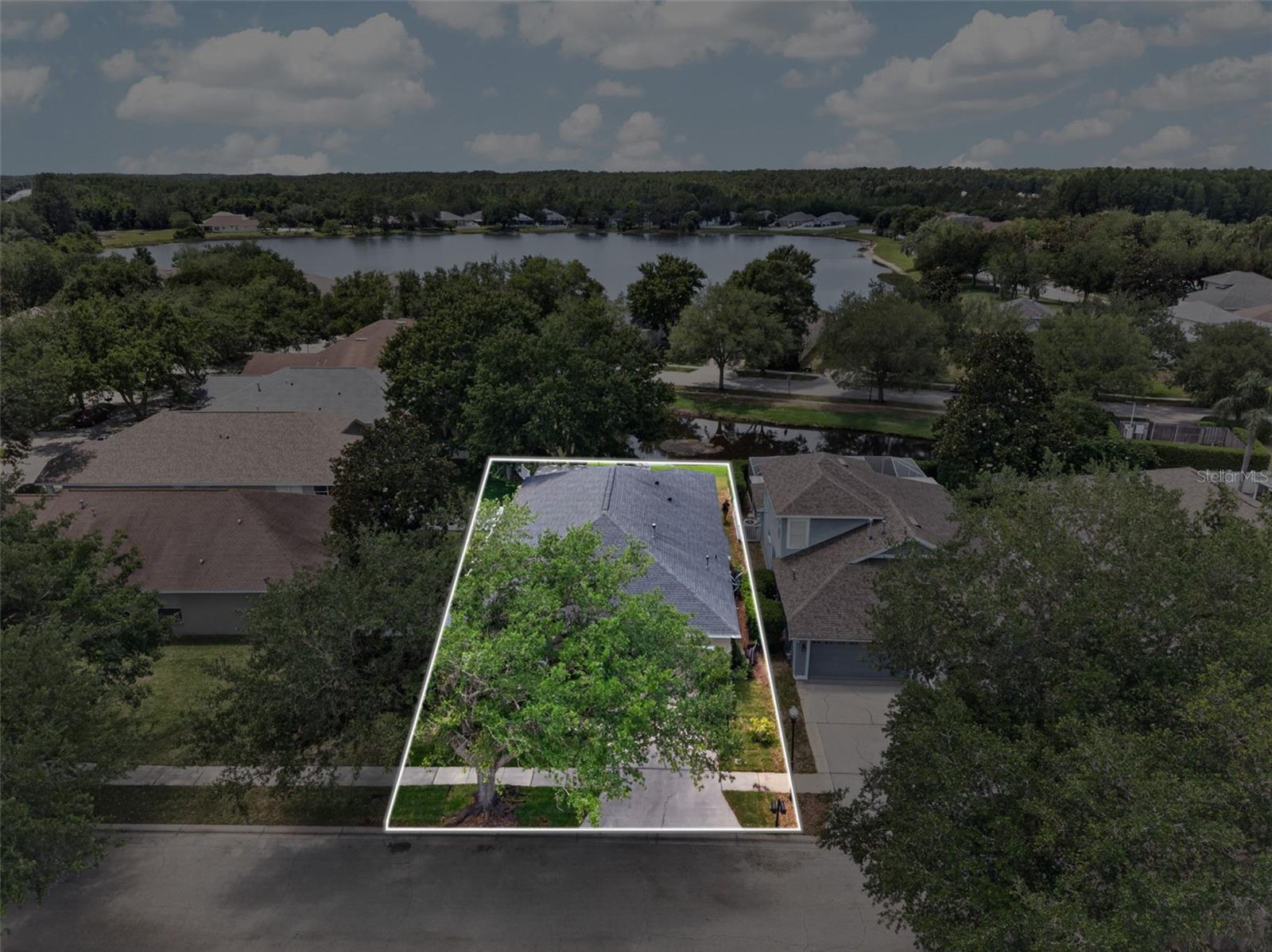 5017 TORREY HILLS LN, LUTZ, FL, 33558