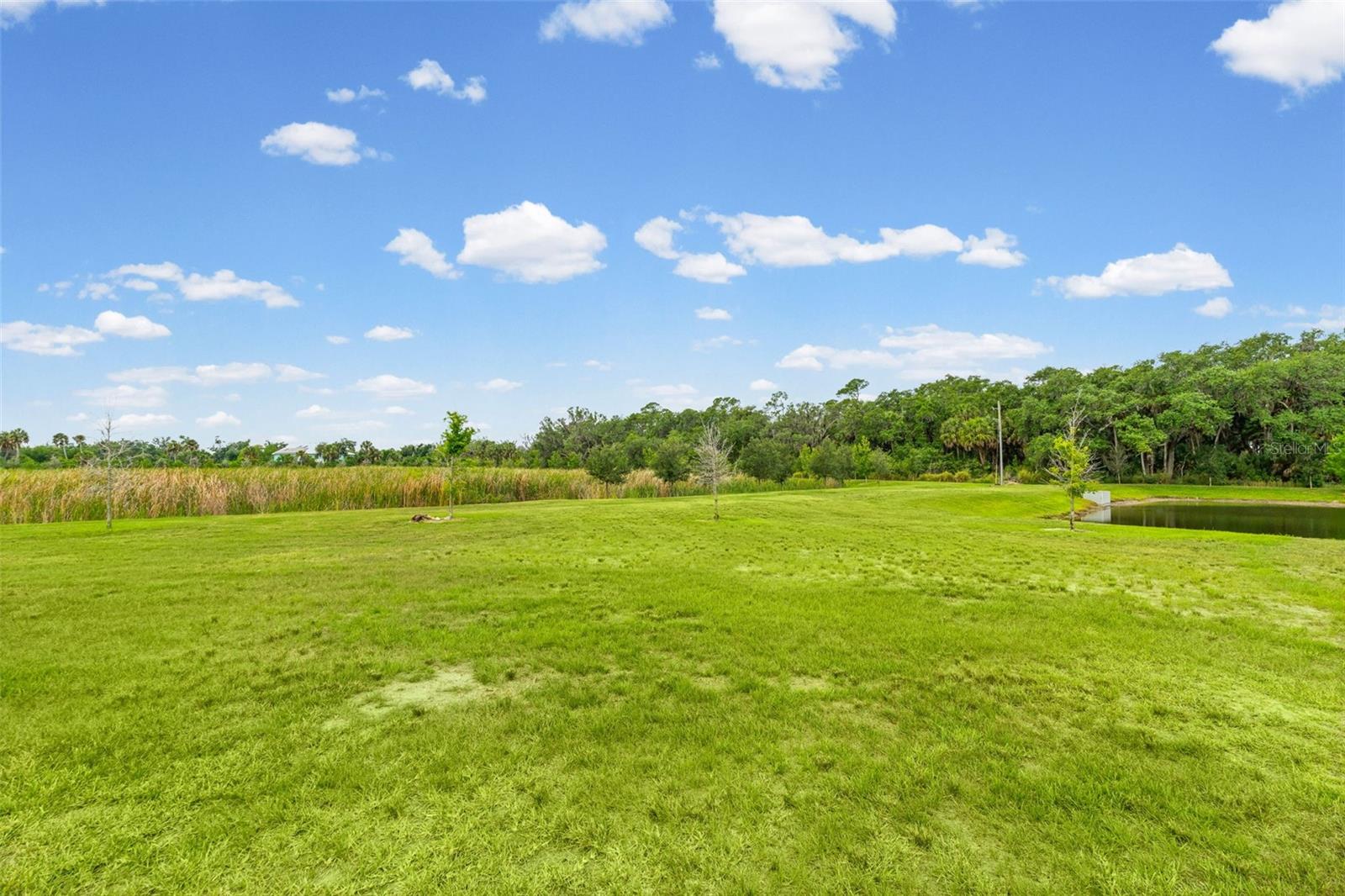 8093 TEA OLIVE TER, PALMETTO, FL, 34221