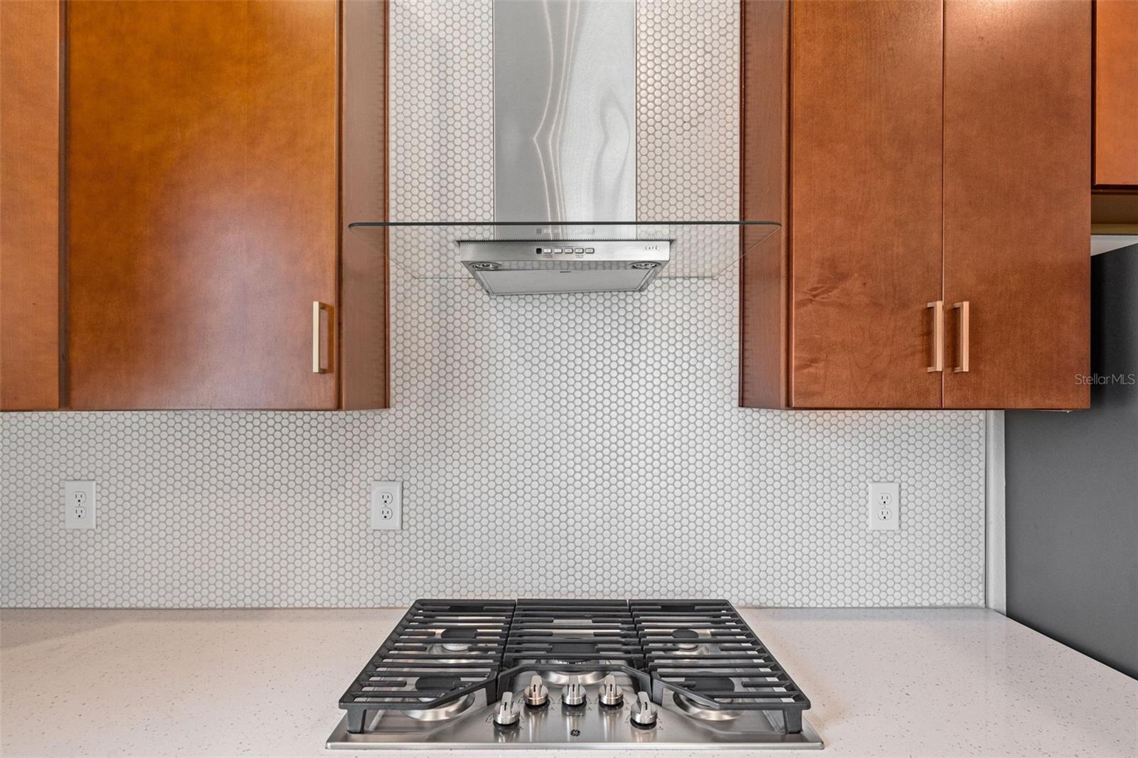 8093 TEA OLIVE TER, PALMETTO, FL, 34221