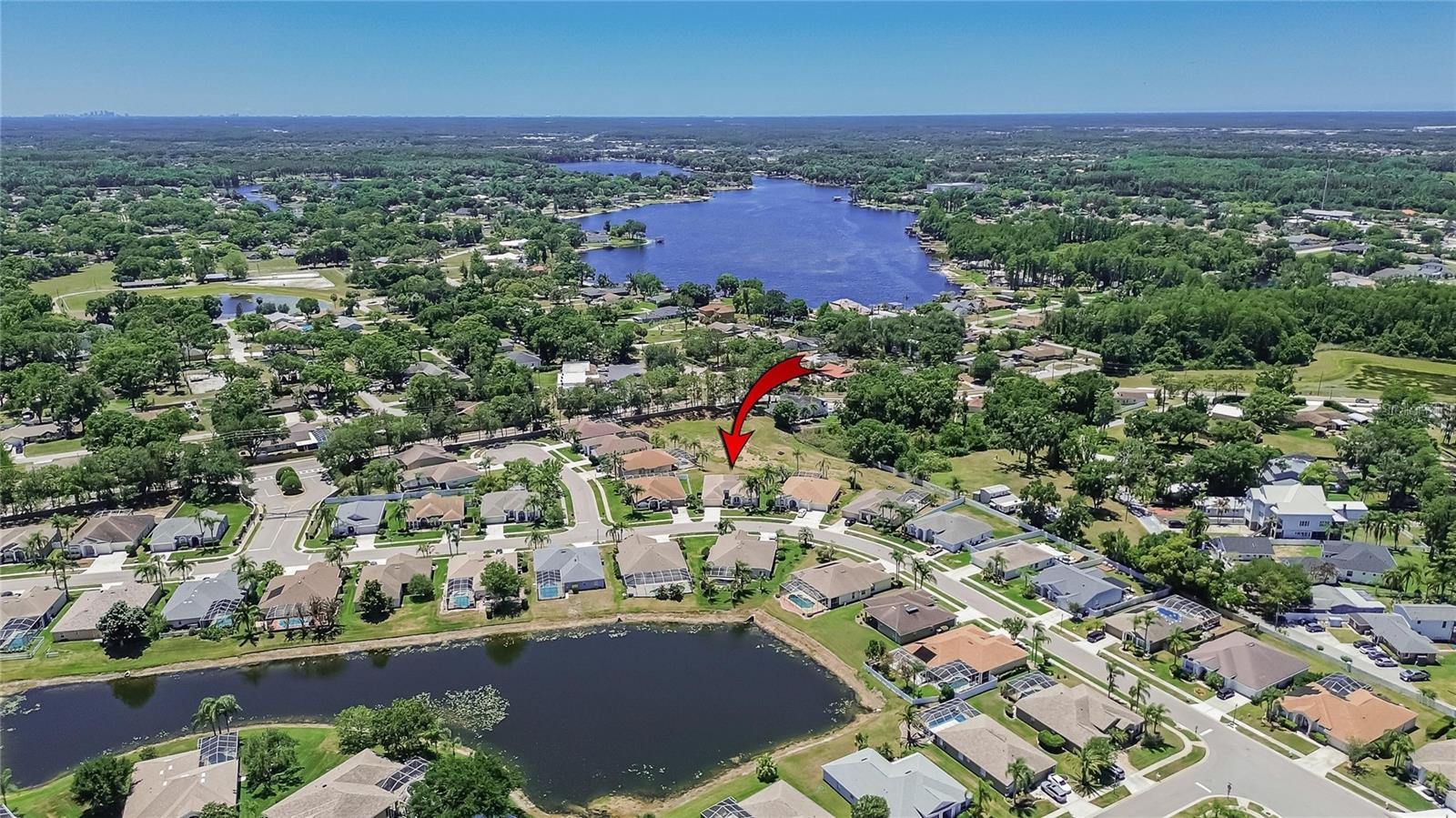 22118 YACHTCLUB TER, LAND O LAKES, FL, 34639