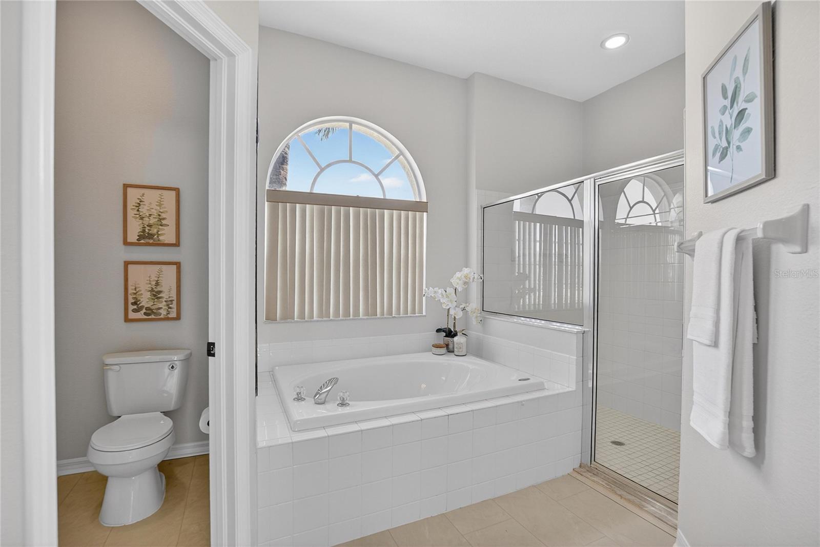 22118 YACHTCLUB TER, LAND O LAKES, FL, 34639