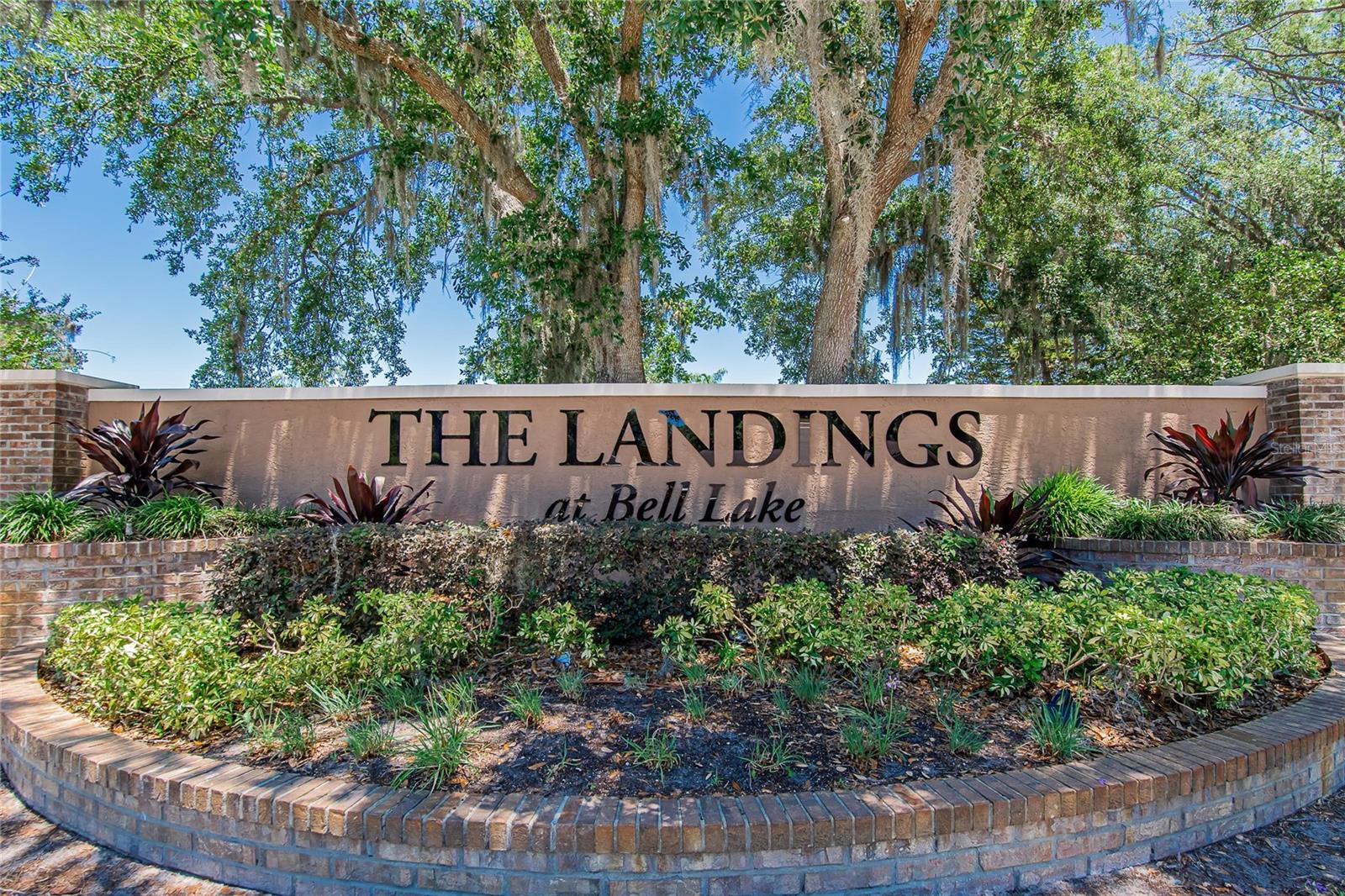 22118 YACHTCLUB TER, LAND O LAKES, FL, 34639