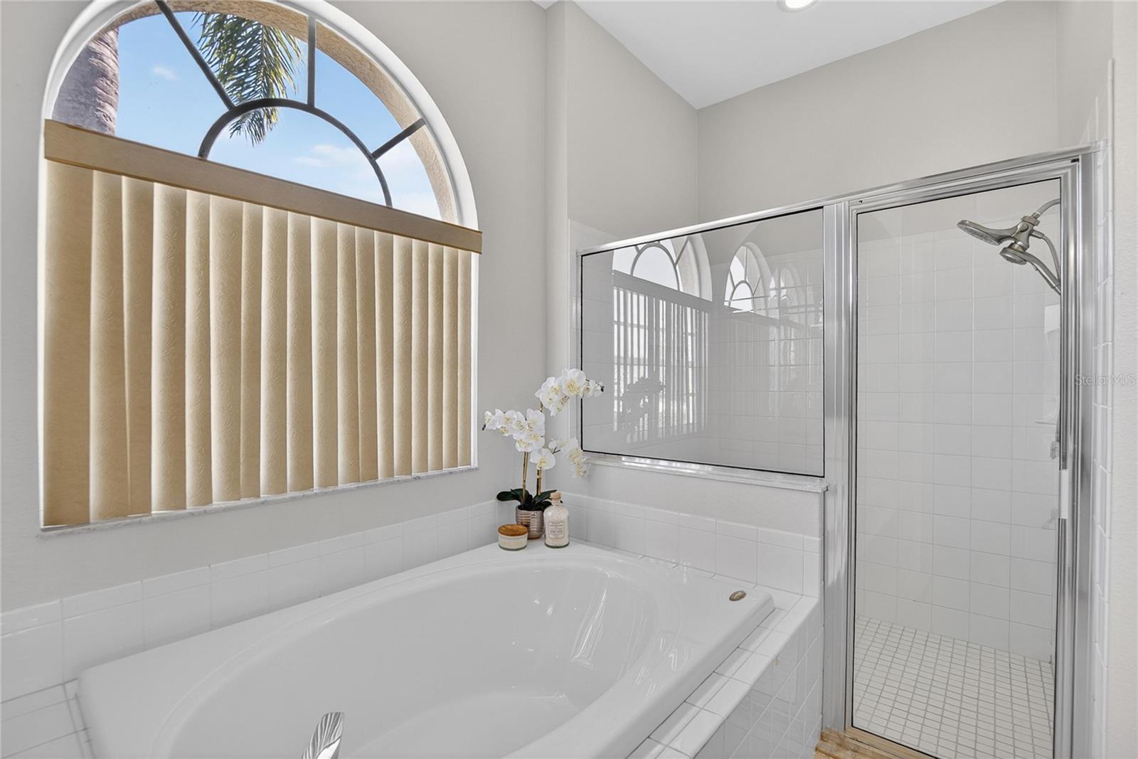 22118 YACHTCLUB TER, LAND O LAKES, FL, 34639