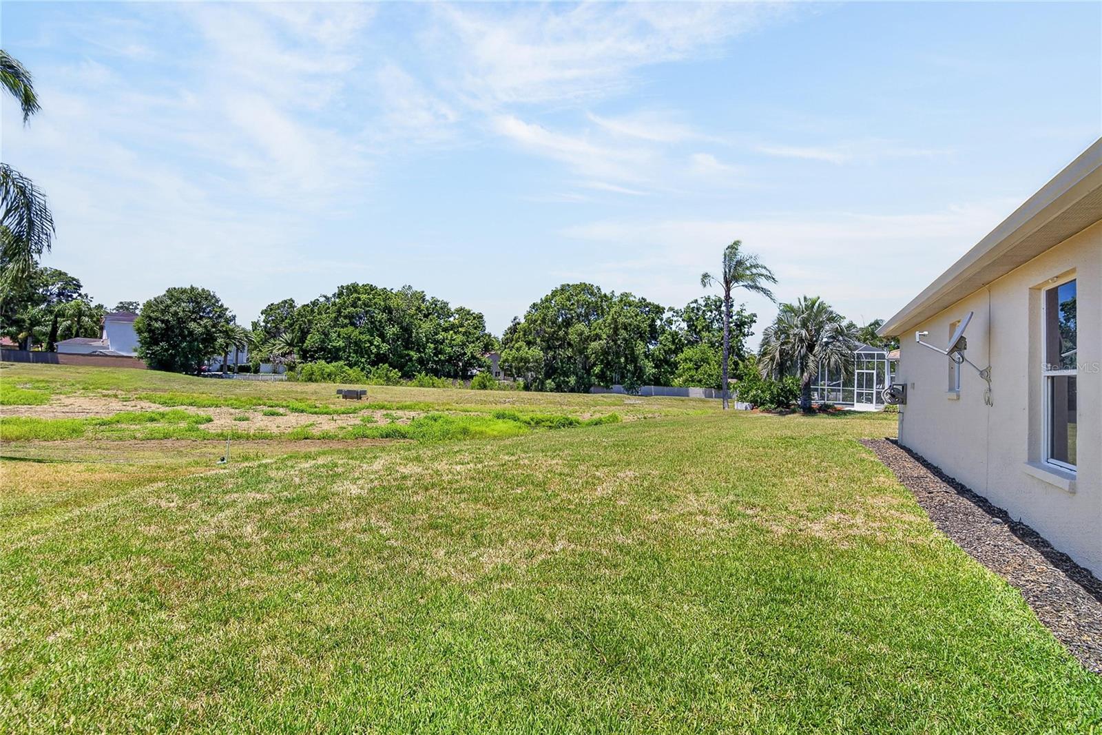 22118 YACHTCLUB TER, LAND O LAKES, FL, 34639