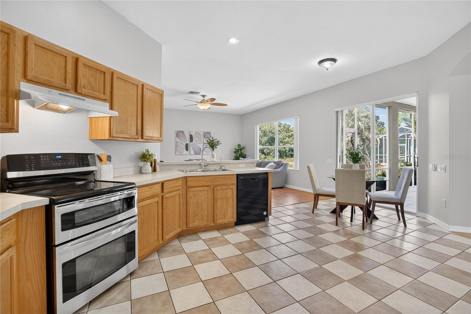 22118 YACHTCLUB TER, LAND O LAKES, FL, 34639