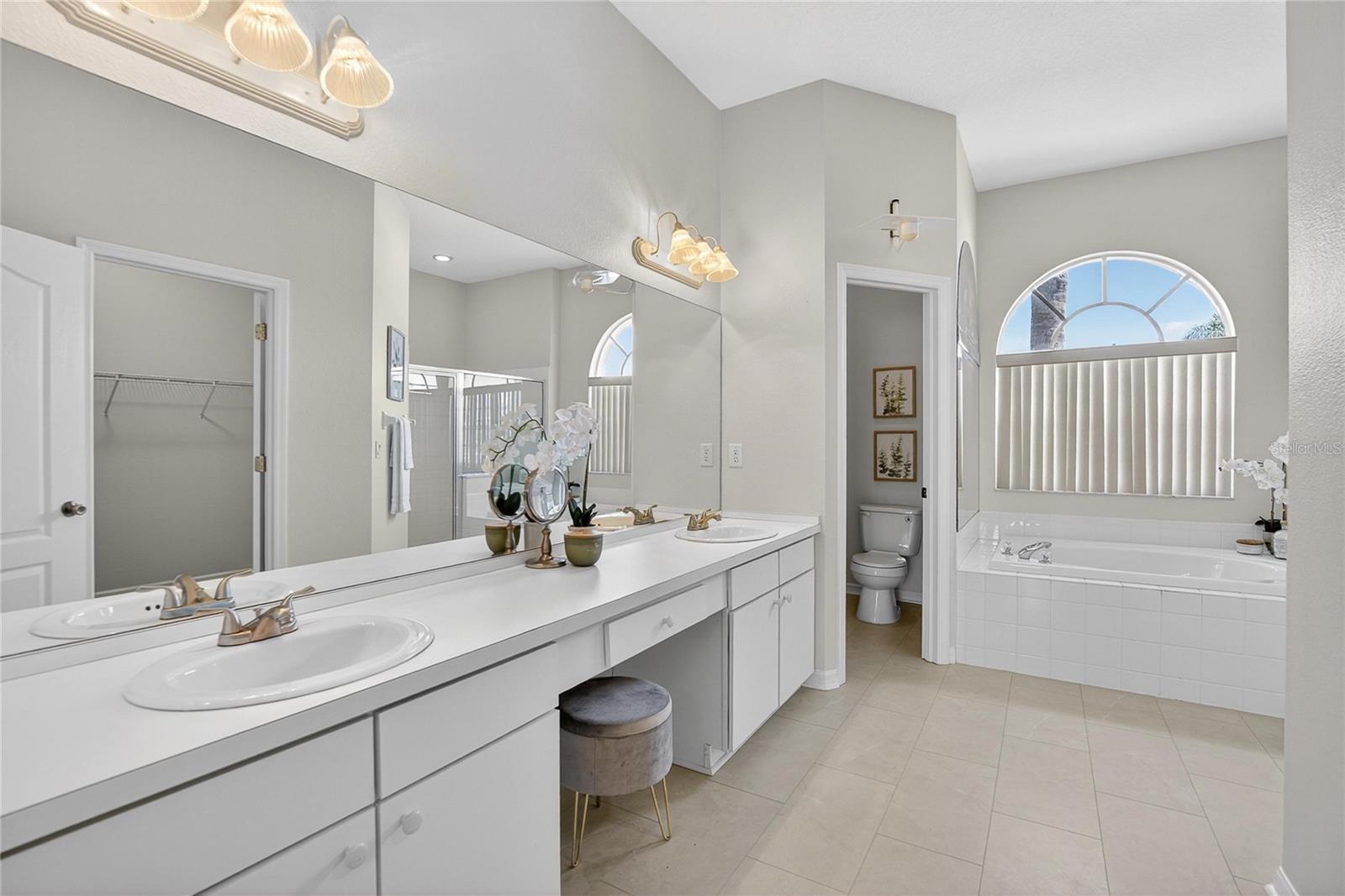 22118 YACHTCLUB TER, LAND O LAKES, FL, 34639