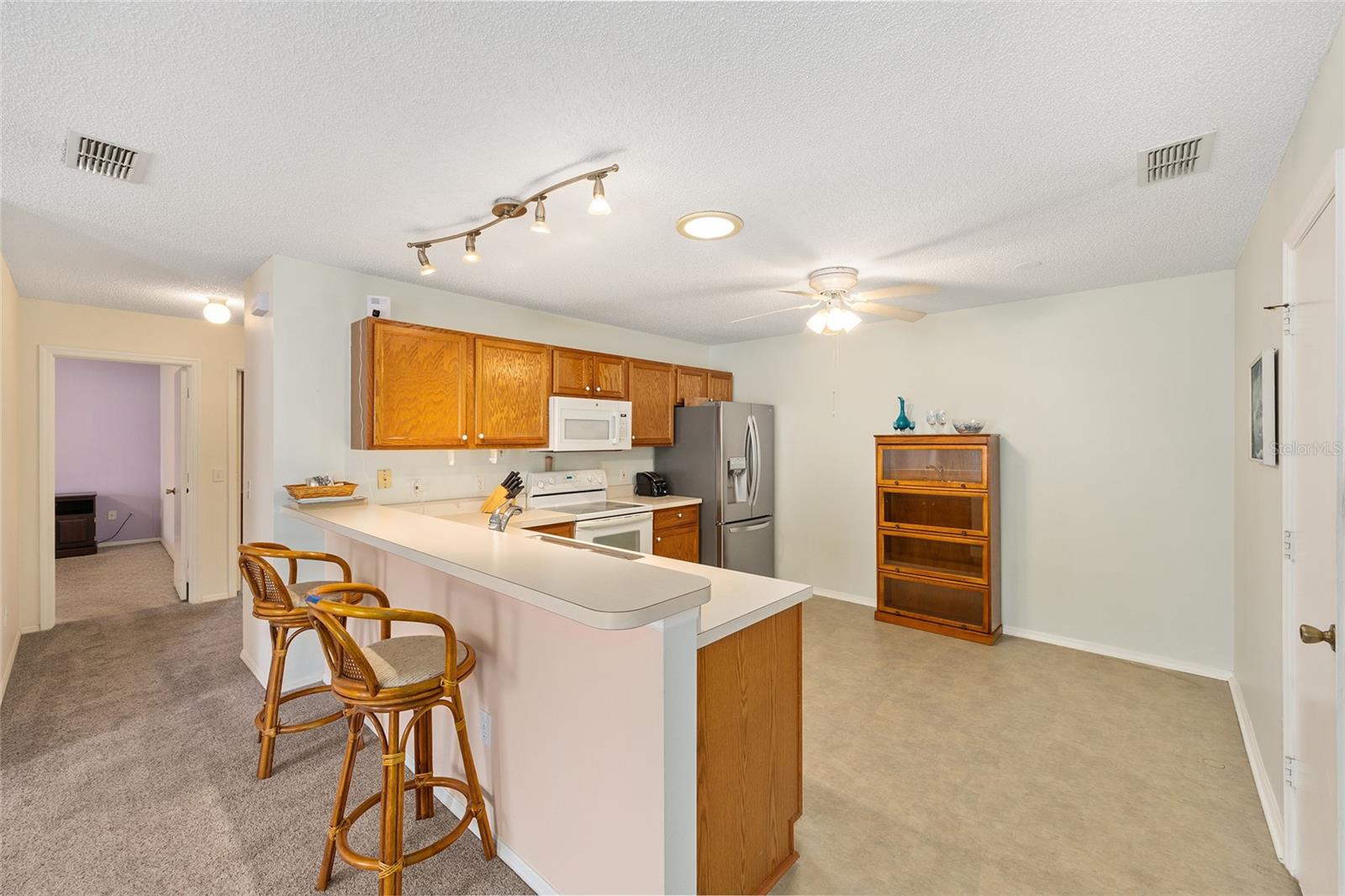 1710 ROSALES RD, THE VILLAGES, FL, 32162