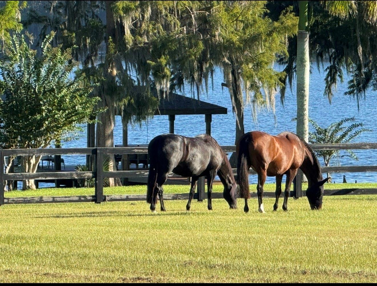 746 LAKE MILLS RD, OVIEDO, FL, 32766