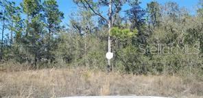 16200 CRANE RD, WEEKI WACHEE, FL, 34614