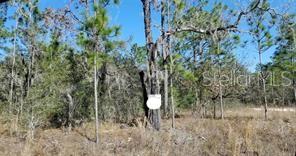16200 CRANE RD, WEEKI WACHEE, FL, 34614