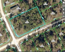 16200 CRANE RD, WEEKI WACHEE, FL, 34614