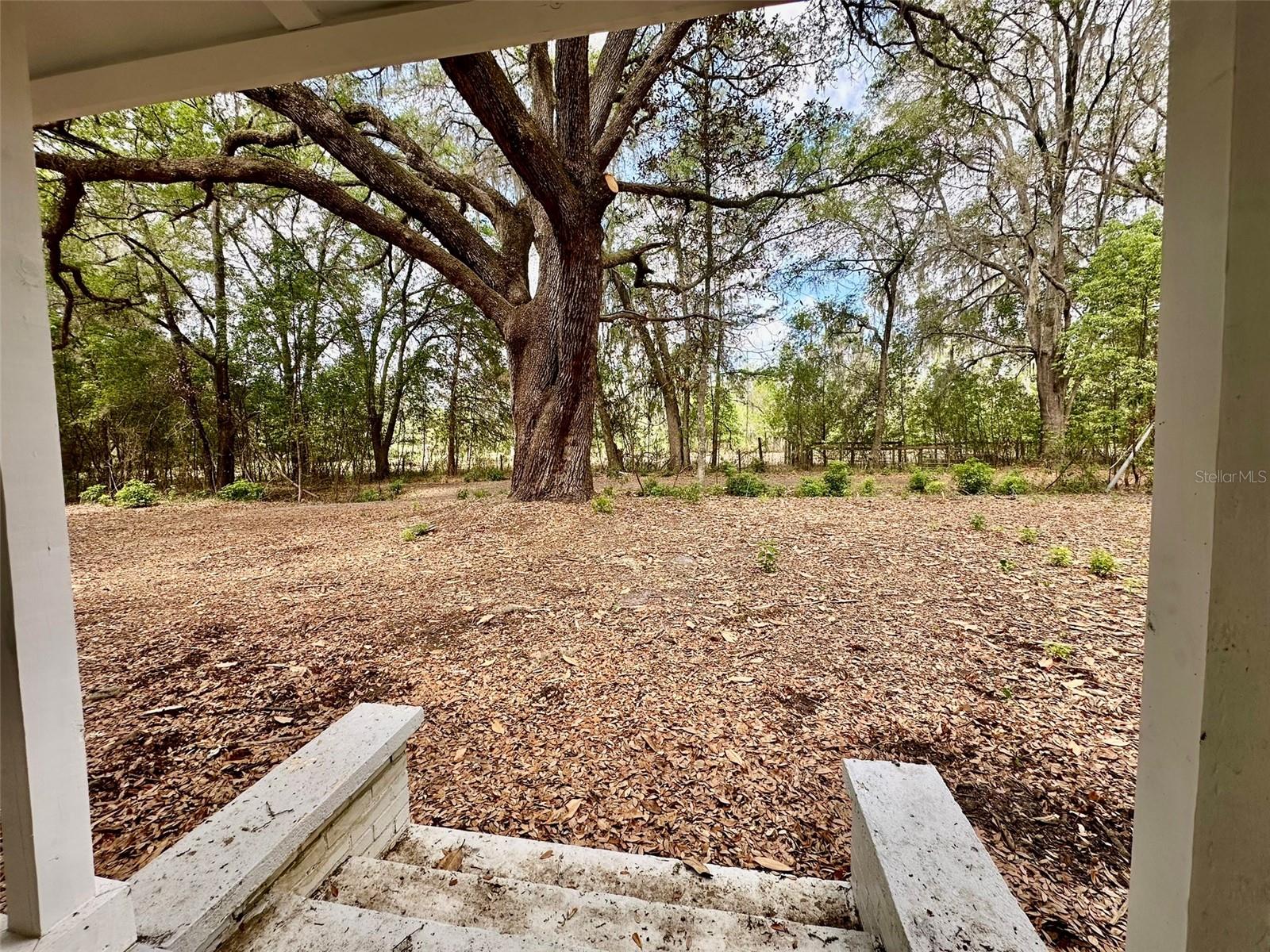 13647 NE 141ST DR, WALDO, FL, 32694