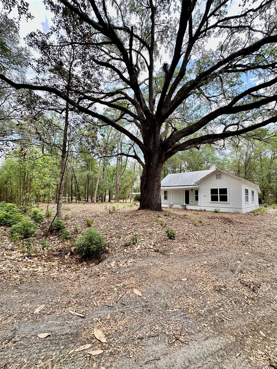 13647 NE 141ST DR, WALDO, FL, 32694