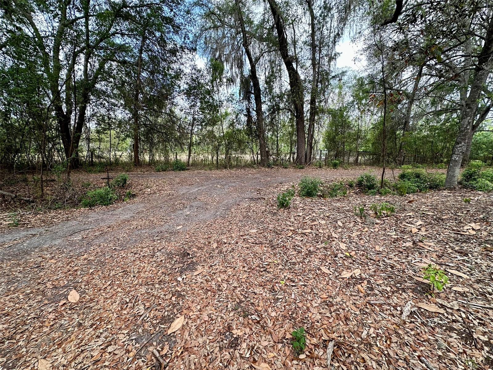 13647 NE 141ST DR, WALDO, FL, 32694
