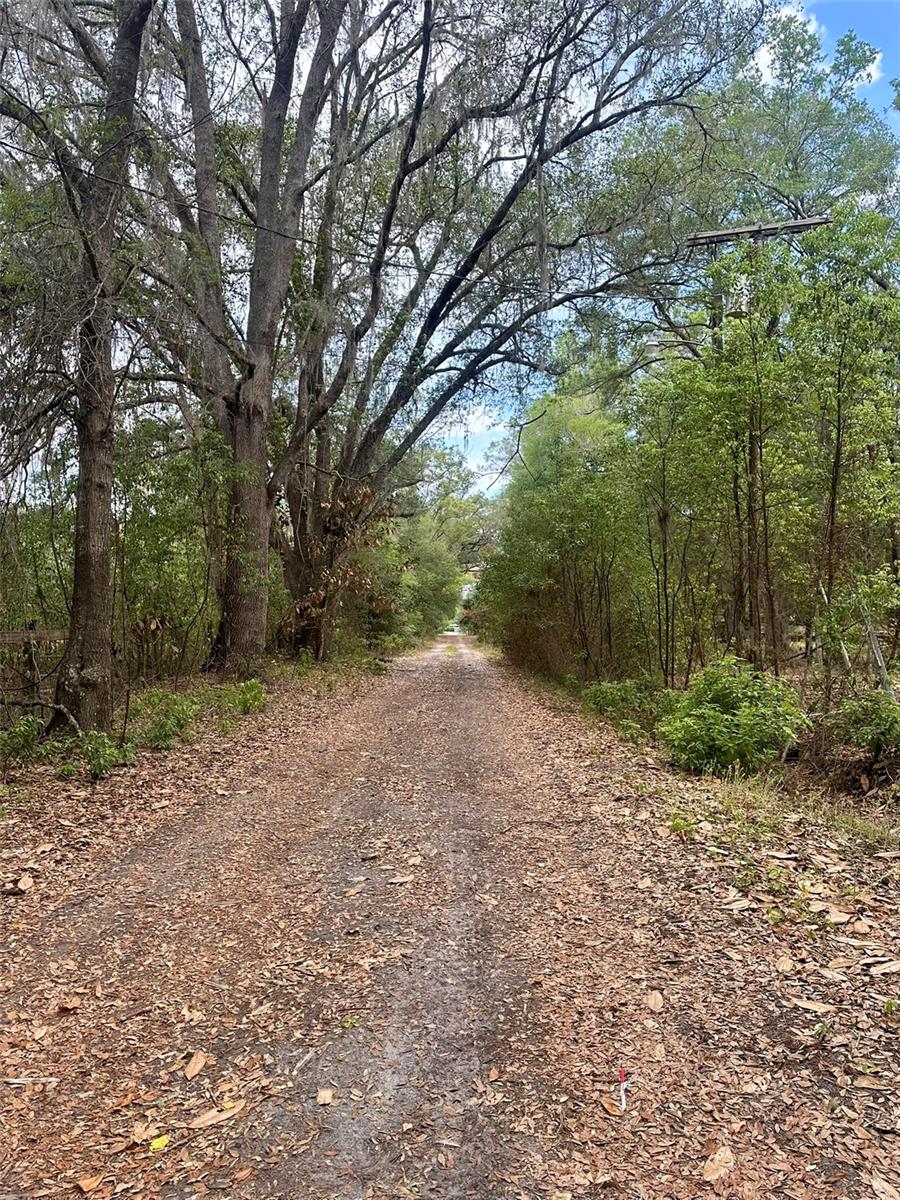 13647 NE 141ST DR, WALDO, FL, 32694