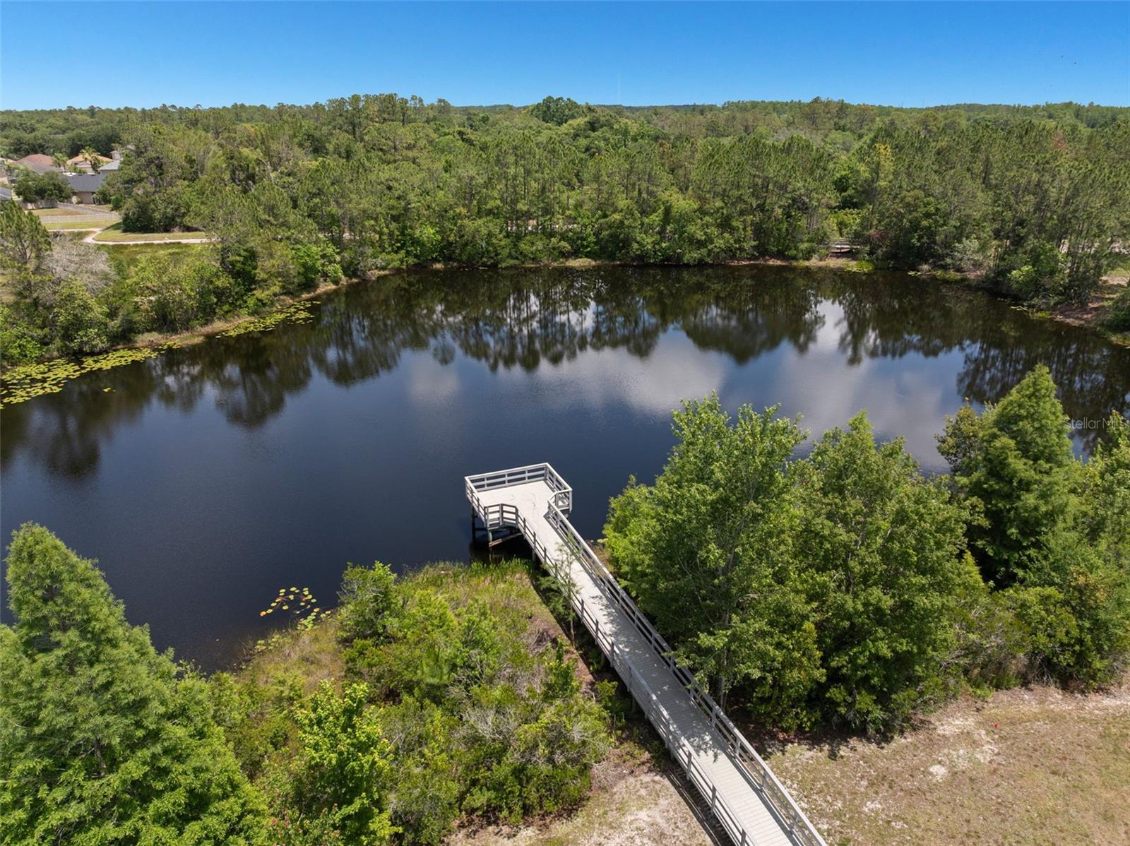 3011 MARBLE CREST DR, LAND O LAKES, FL, 34638