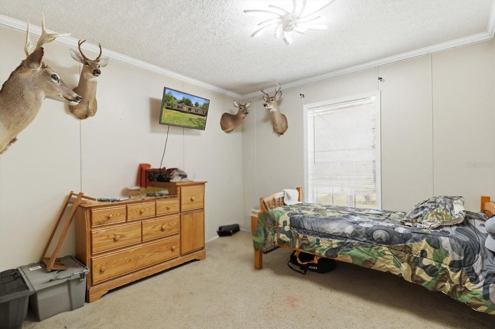 10382 W KILLARNEY ST, CRYSTAL RIVER, FL, 34428