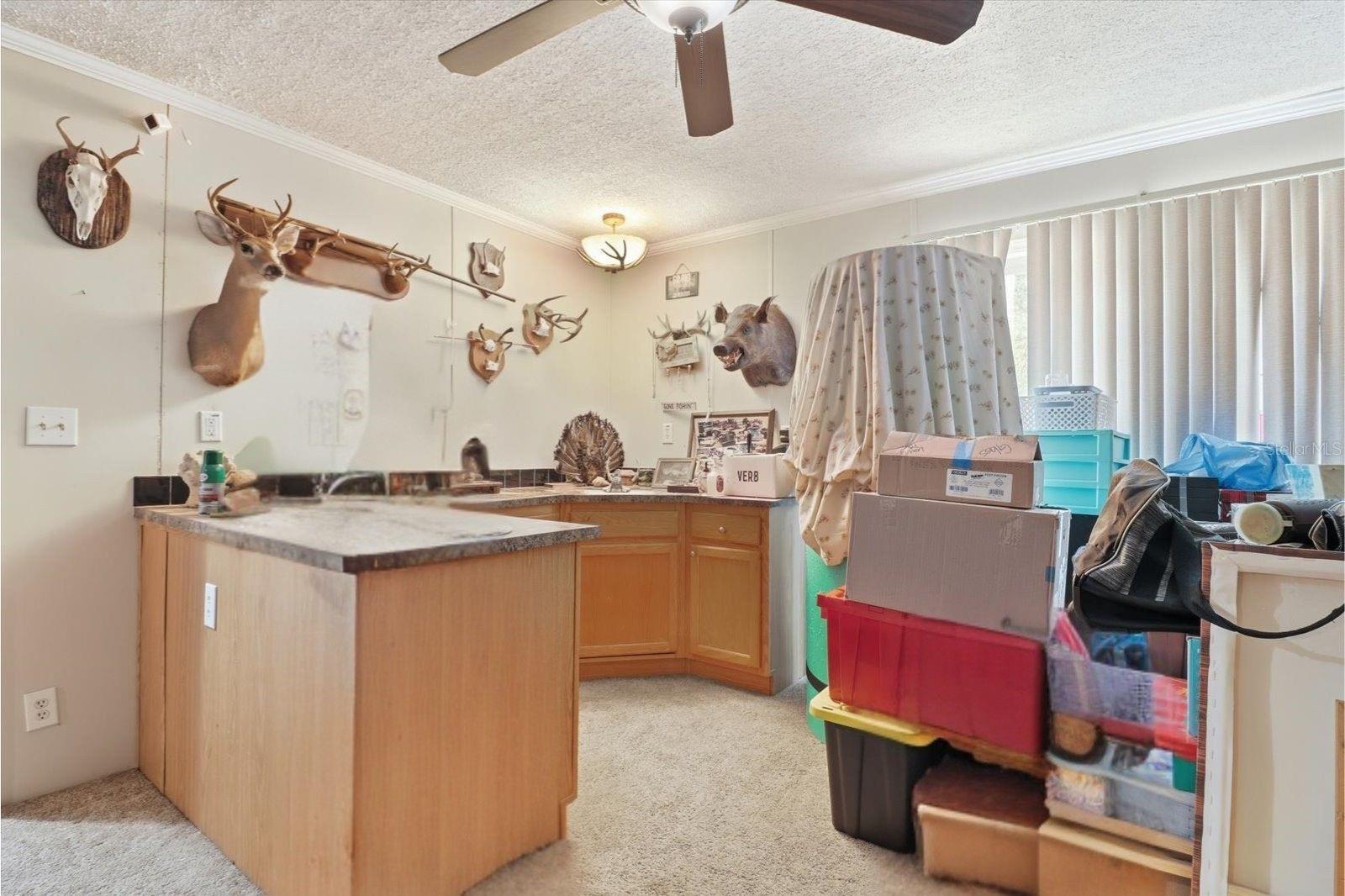 10382 W KILLARNEY ST, CRYSTAL RIVER, FL, 34428