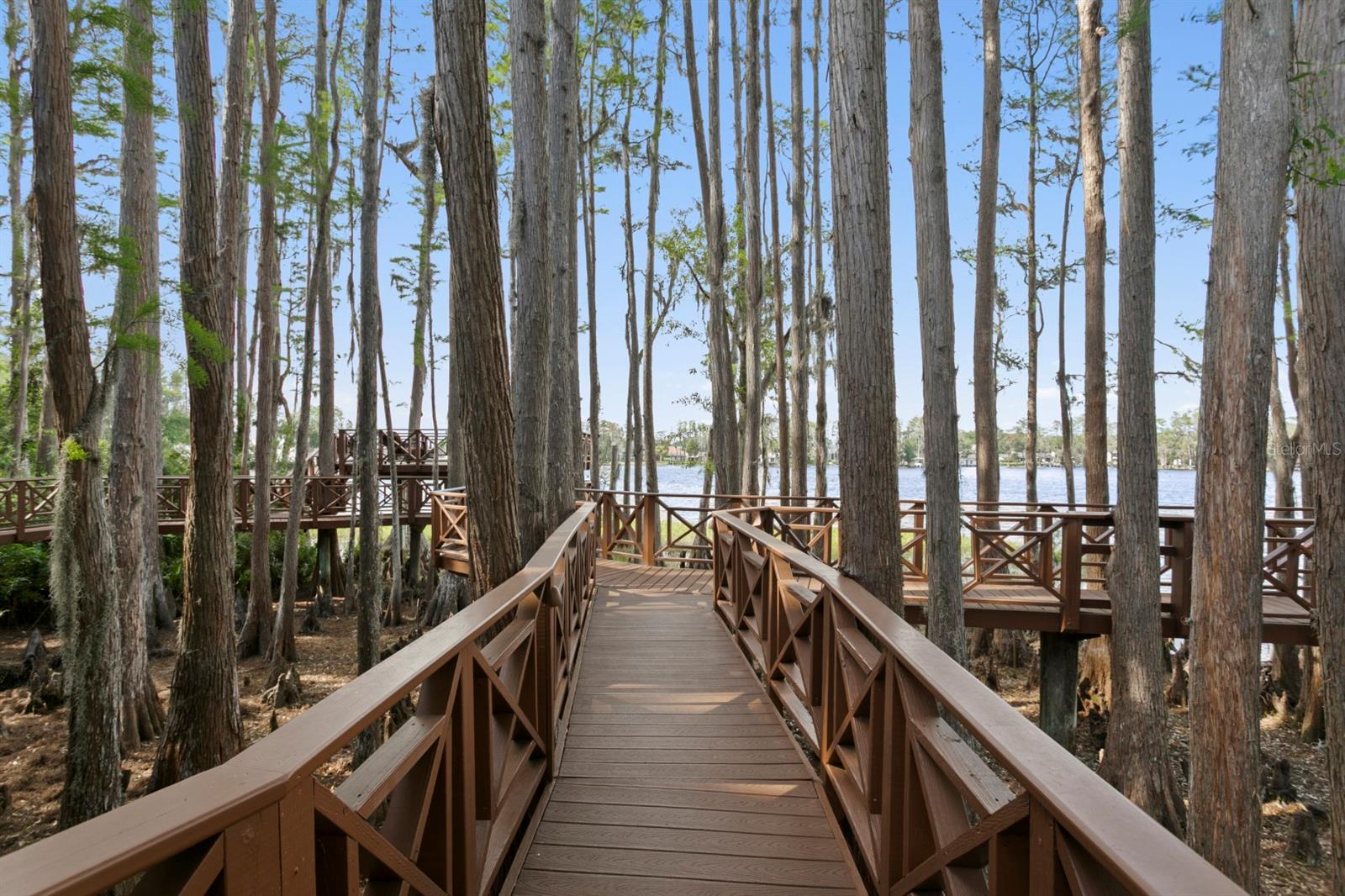 8817 ROBERTS RD, ODESSA, FL, 33556