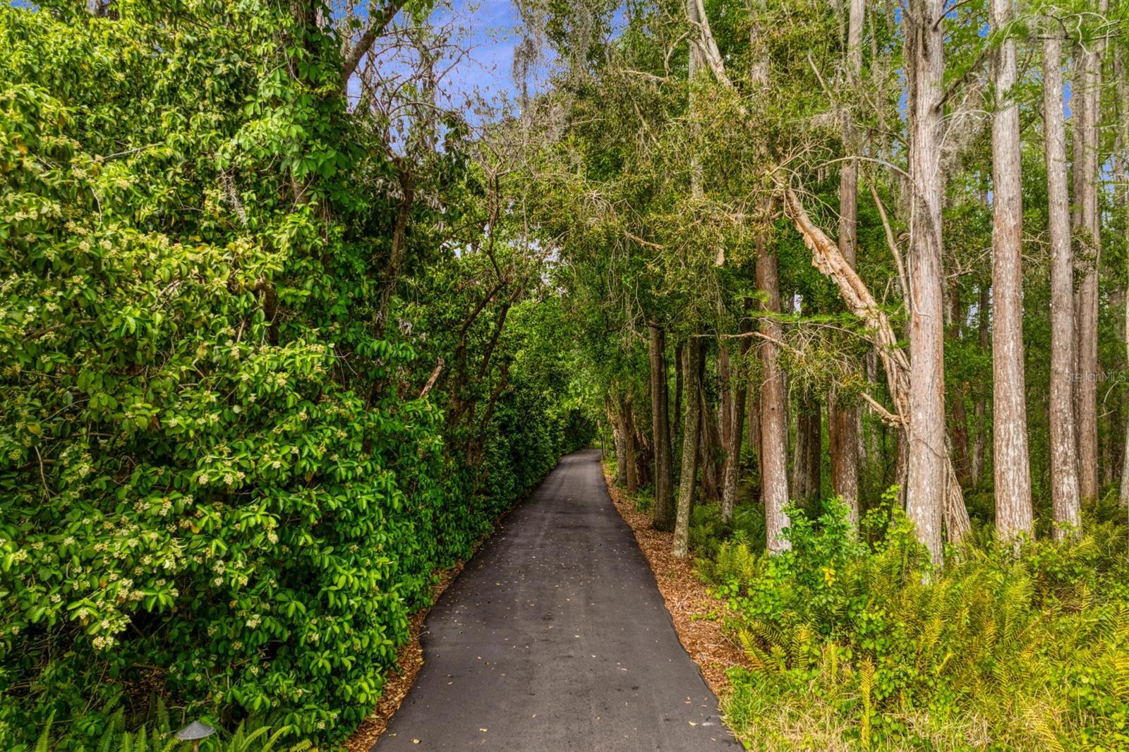 8817 ROBERTS RD, ODESSA, FL, 33556