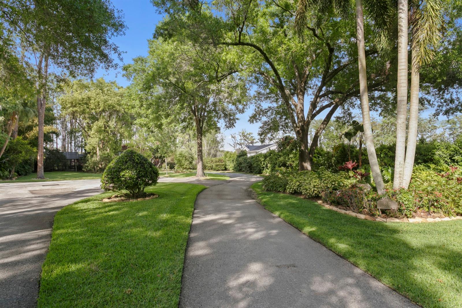8817 ROBERTS RD, ODESSA, FL, 33556