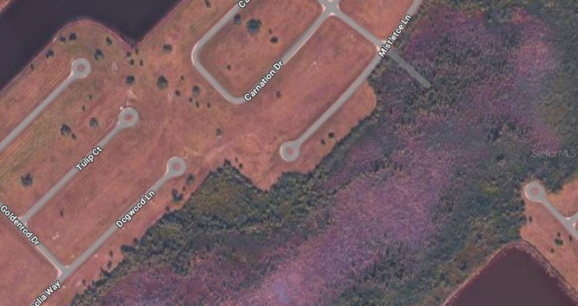 ROTONDA MEADOWS, PLACIDA, FL, 33946