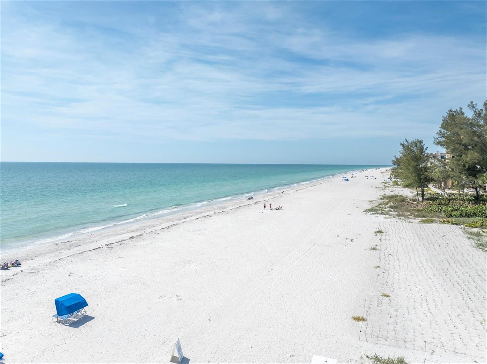 19610 GULF BLVD #308, INDIAN ROCKS BEACH, FL, 33785