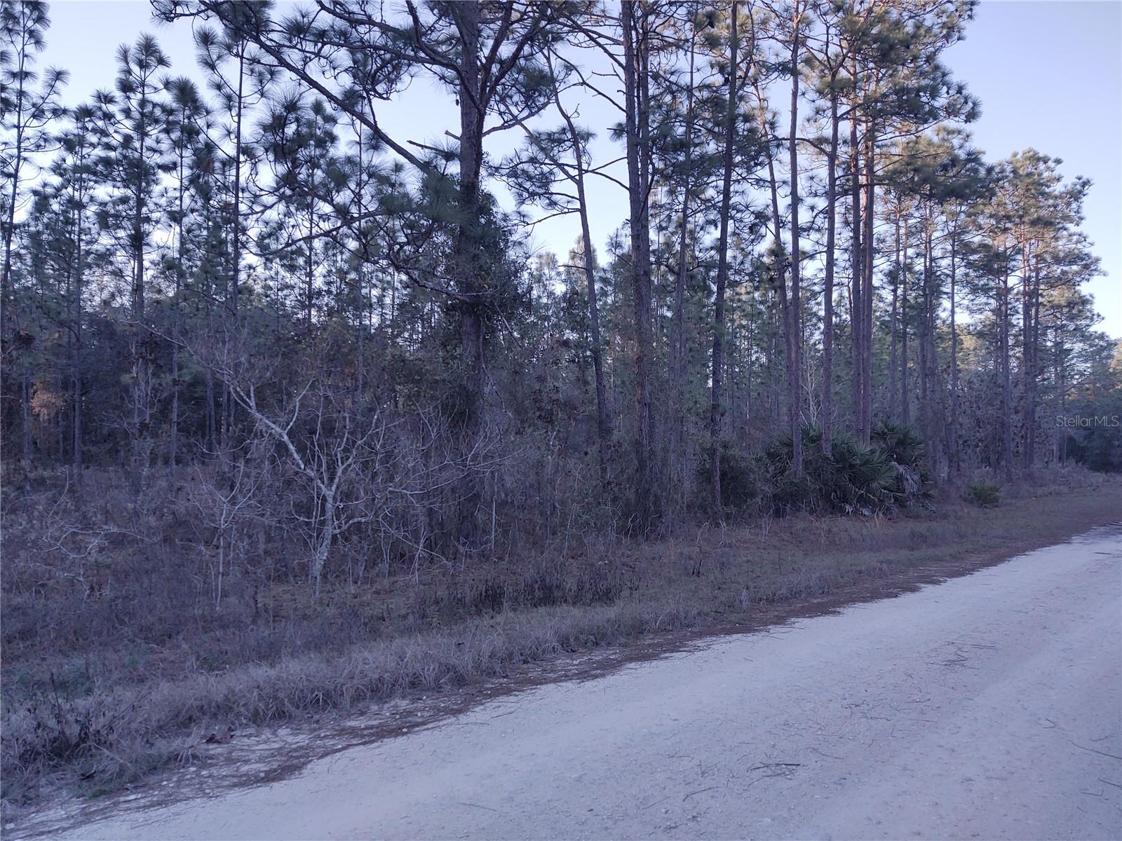 5980 SW 127TH AVE RD, OCALA, FL, 34481