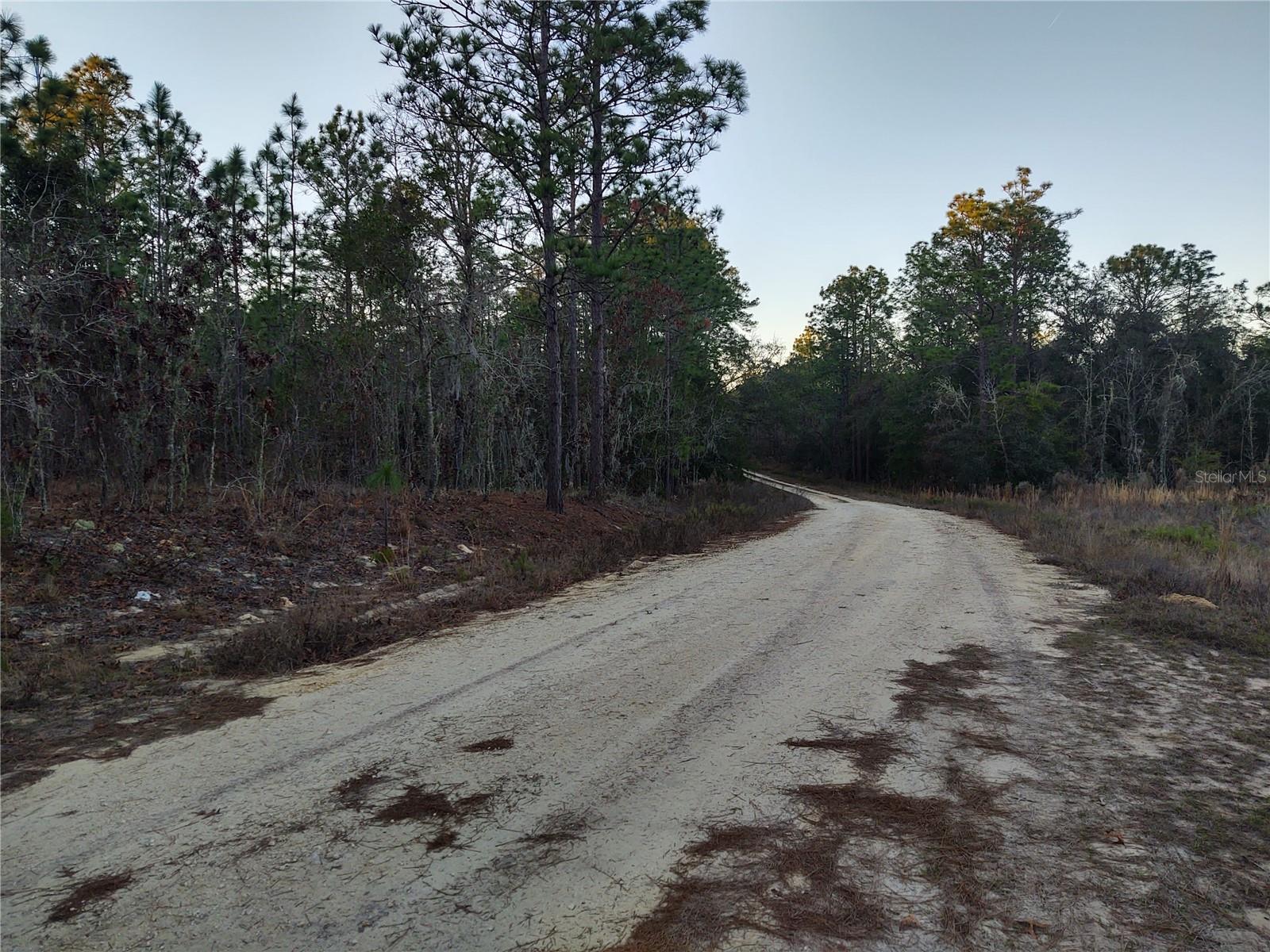 5980 SW 127TH AVE RD, OCALA, FL, 34481