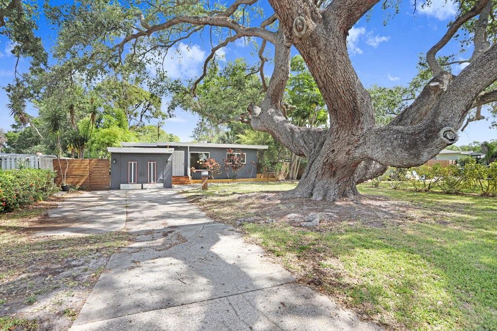 779 BAYOU BLVD S, ST PETERSBURG, FL, 33705