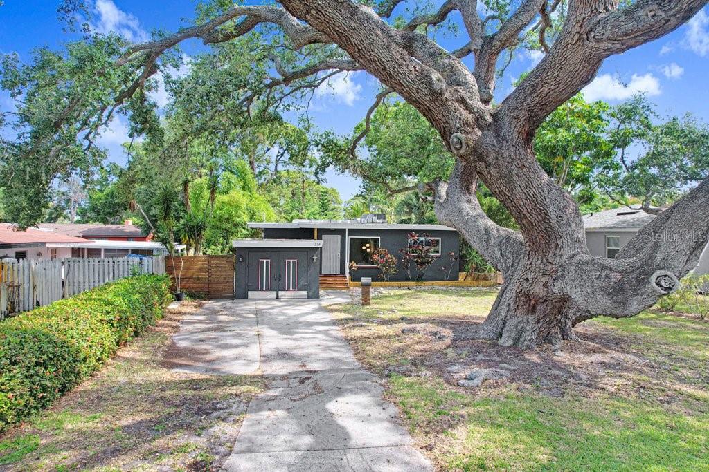 779 BAYOU BLVD S, ST PETERSBURG, FL, 33705