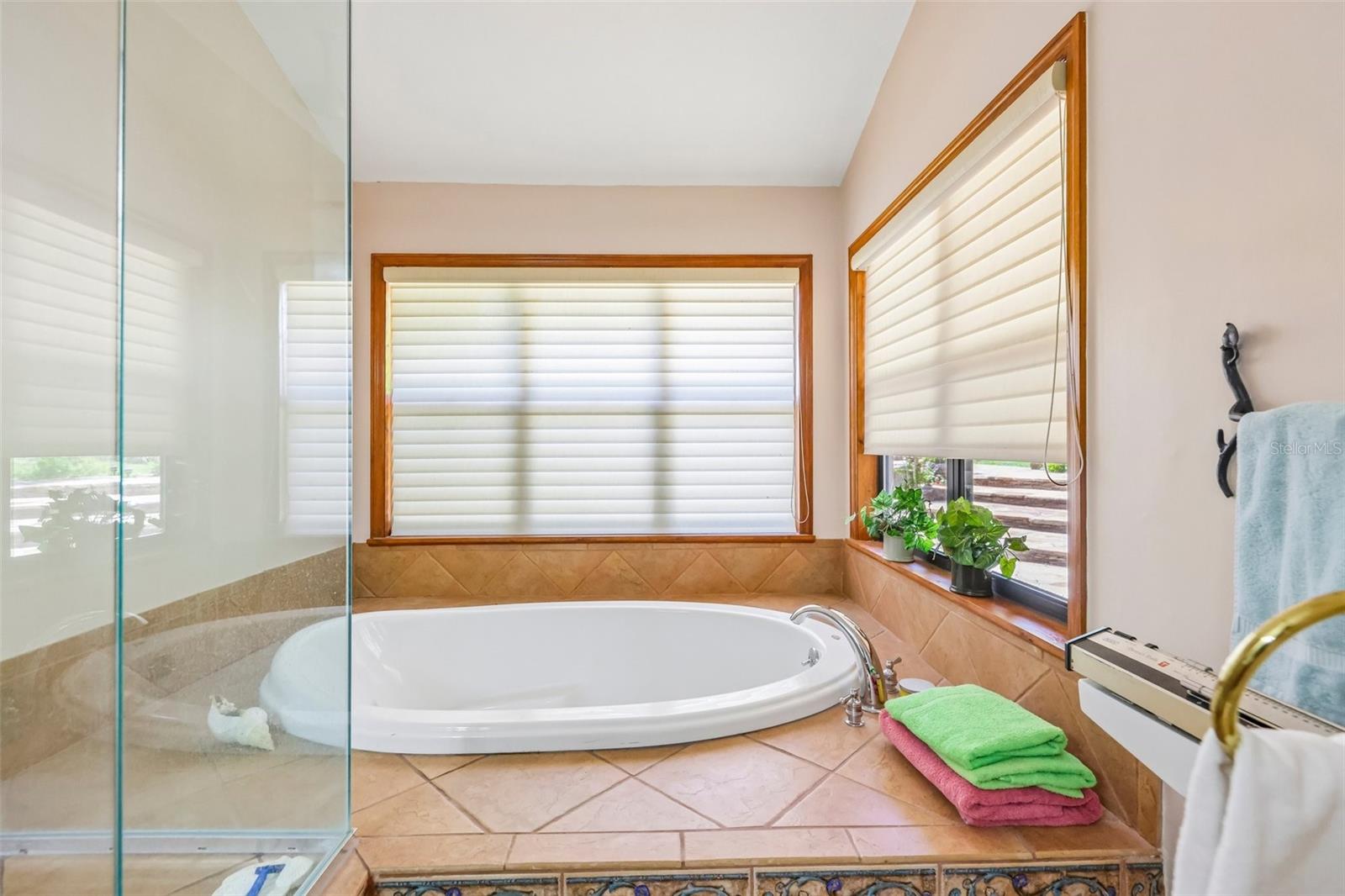 35841 TIMBERTOP LN, FRUITLAND PARK, FL, 34731