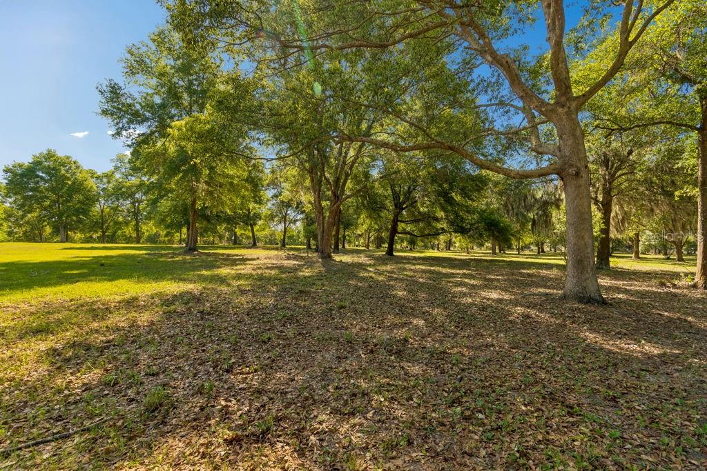 31501 REED RD, DADE CITY, FL, 33523