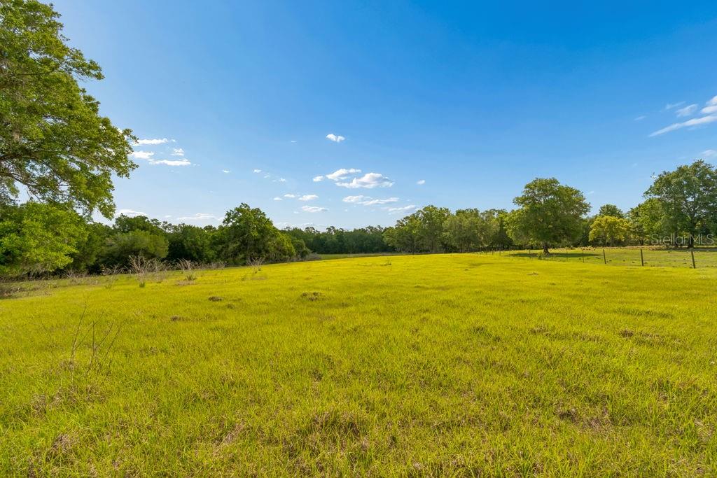 31501 REED RD, DADE CITY, FL, 33523