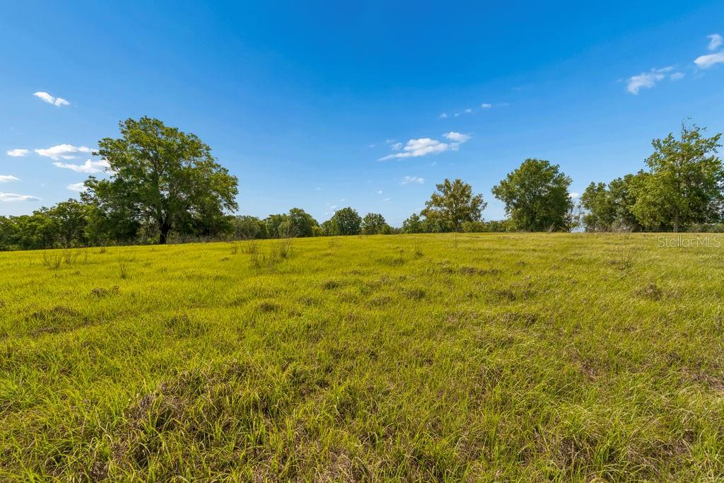 31501 REED RD, DADE CITY, FL, 33523