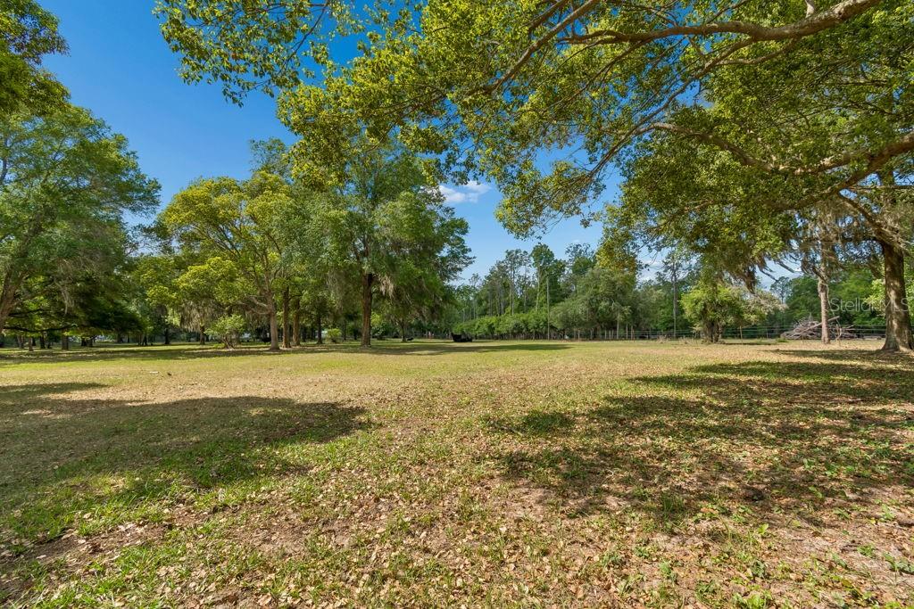 31501 REED RD, DADE CITY, FL, 33523