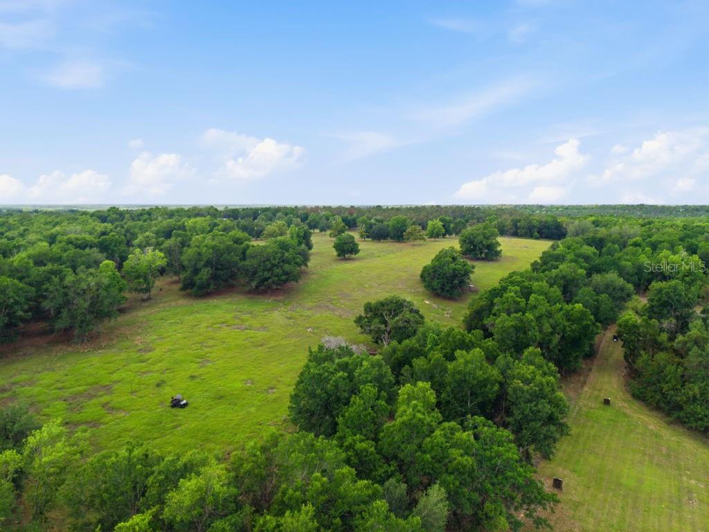 31501 REED RD, DADE CITY, FL, 33523