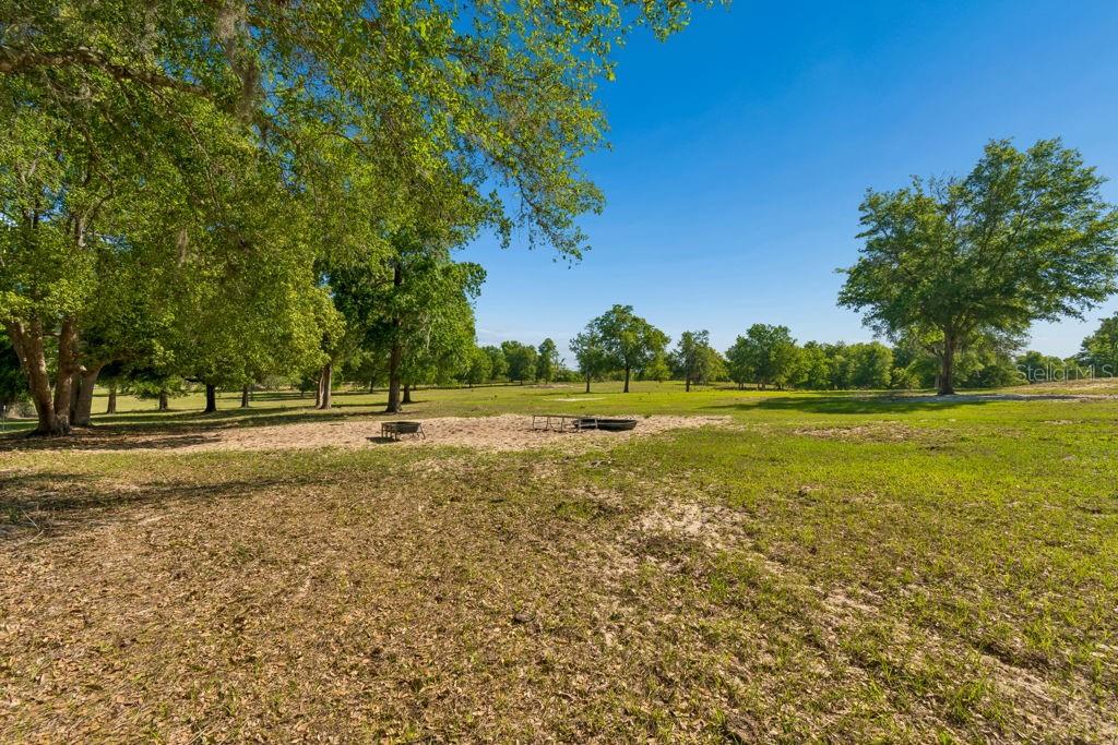 31501 REED RD, DADE CITY, FL, 33523