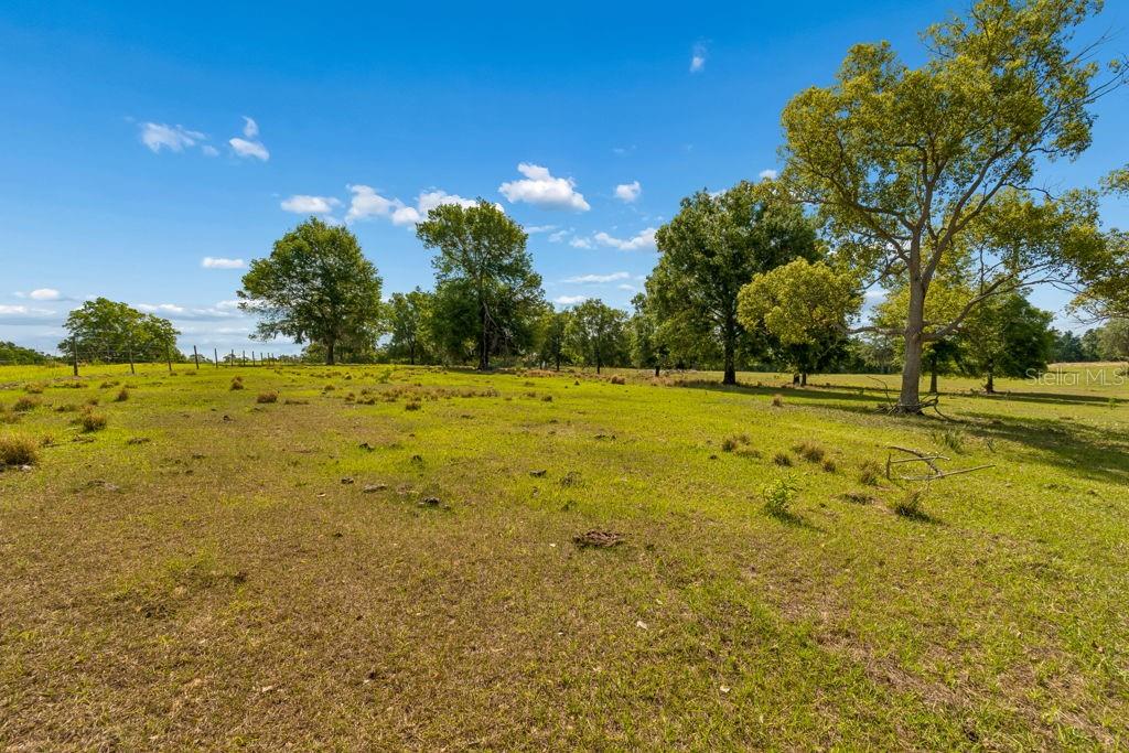 31501 REED RD, DADE CITY, FL, 33523