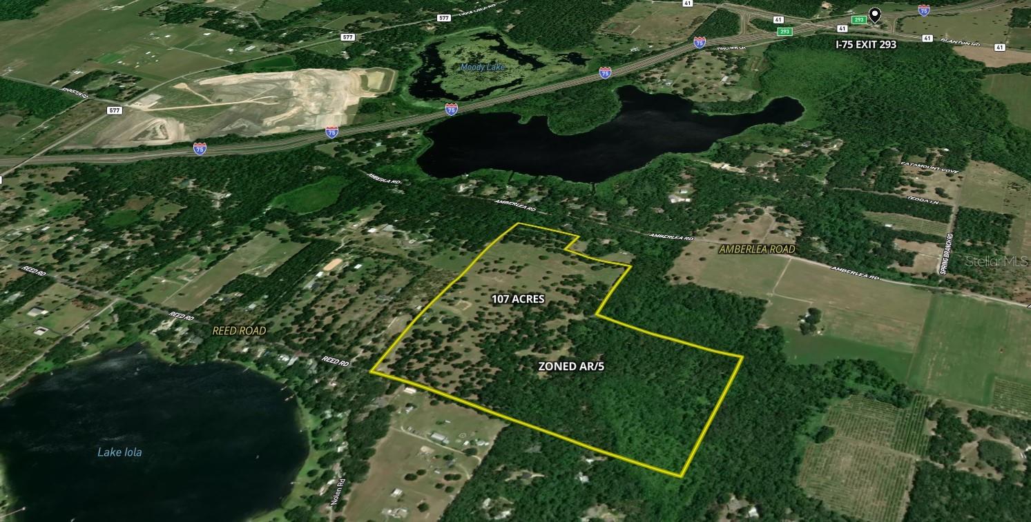 31501 REED RD, DADE CITY, FL, 33523