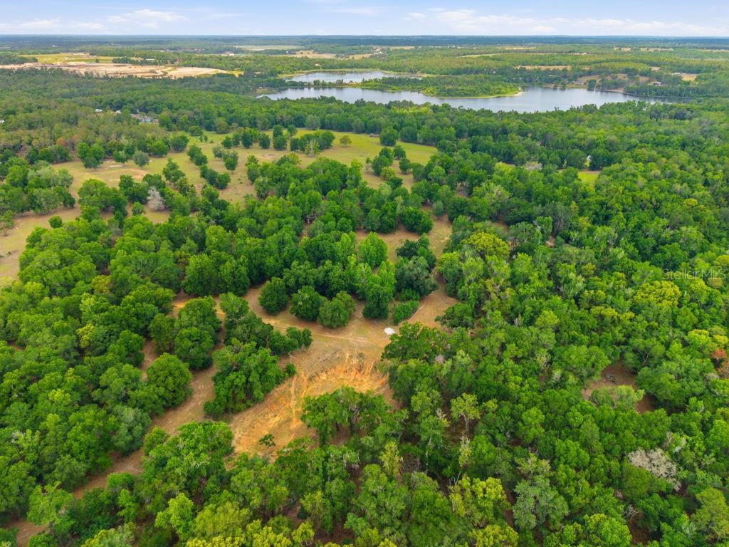 31501 REED RD, DADE CITY, FL, 33523