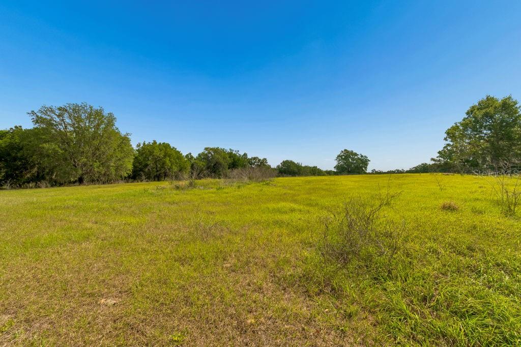 31501 REED RD, DADE CITY, FL, 33523