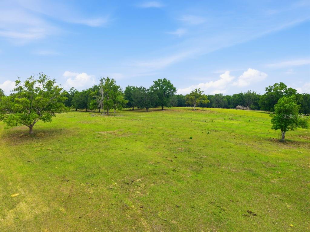31501 REED RD, DADE CITY, FL, 33523