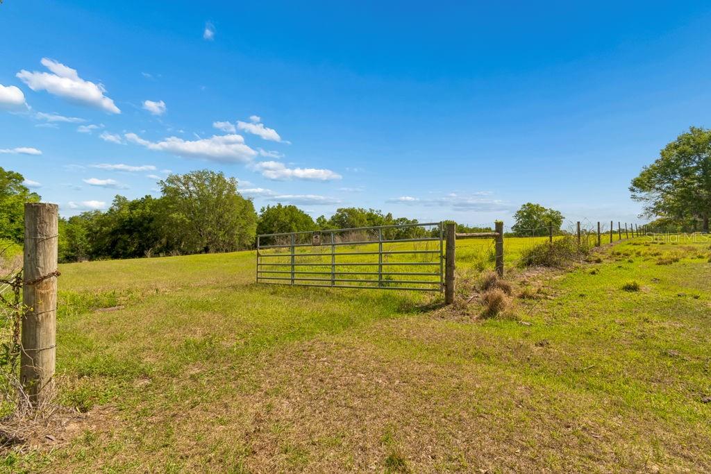31501 REED RD, DADE CITY, FL, 33523