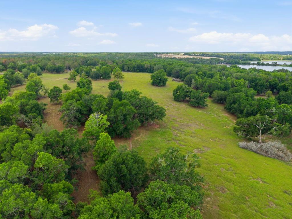 31501 REED RD, DADE CITY, FL, 33523