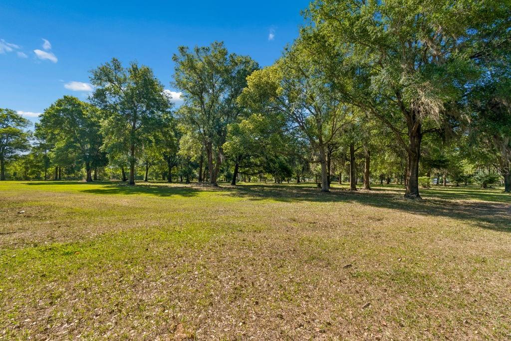 31501 REED RD, DADE CITY, FL, 33523